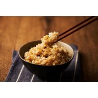 パックごはん18食 生姜プラス もち麦ごはん160g 18個幸南食糧