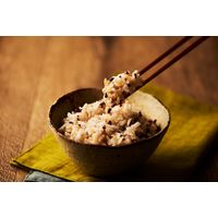 パックごはん18食 発芽玄米ごはん160g 18個幸南食糧