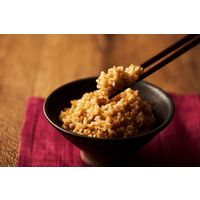 パックごはん18食 金のいぶき玄米ごはん160g 18個幸南食糧