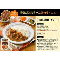 エバラ食品 横濱舶来亭 カレーフレーク 芳醇な甘口 180g 3個