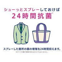 キレイキレイ 除菌・ウイルス除去スプレー 本体 280mL 1本 ライオン