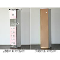 【軒先渡し】サン トイ ランドリーBOX 幅400×奥行400×高さ1800ｍｍ ピンク 45001 1台（直送品）