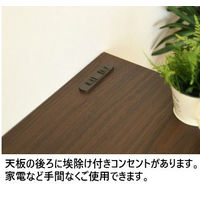 【軒先渡し】サン ワルツ ダストカウンター 53L 幅550×奥行450×高さ805ｍｍ ブラウン 89011 1台（直送品）