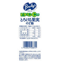 バヤリースとろける果実のど飴　1セット（2袋入）　アサヒグループ食品
