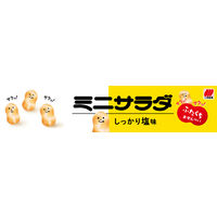 三幸製菓 ミニサラダ しお味　2枚×12袋入 3個　せんべい　あられ 個包装 お配り