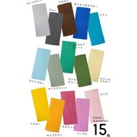 小杉善 徳用カラーフェイスタオル15色15枚組 SV-625-15 1セット（15枚入）（直送品）