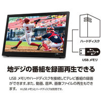 ダイアモンドヘッド 14インチ録画機能付き ポータブルTV OT-PTV14TE 1台（直送品）