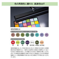 山田照明（yamada） Zライト 黒 Z-80PRO2B　高演色タイプ（わけあり品）