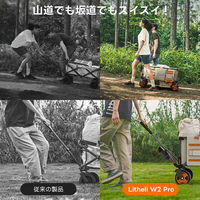 イチネンアクセス 電動キャリーワゴン W2 PRO 1台（直送品）