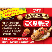 エスビー食品 あらびき肉＆ごろごろ野菜 こく深キーマカレー 中辛 150g 1セット（1個×2）レンジ対応 レトルト