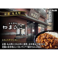 エスビー食品 噂の名店 THE MEAT とろとろ牛すじカレー 辛口 180g 1セット（1個×3）レンジ対応 レトルト