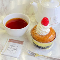 神戸紅茶 生紅茶 テイスターズブレンド 1箱(16バッグ入) 個包装