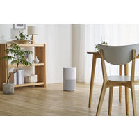 空気清浄機 16畳 AAP-S30C-W 1台