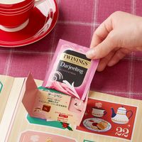 片岡物産 トワイニング アドベントティーカレンダー2025 1個(24バッグ入)