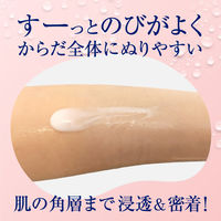 ビオレザボディ ぬれた肌に使うボディ乳液 肌しっとりホワイトティー本体セット 花王