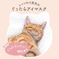 ホットアイマスク 3種アソートセット 1セット（1箱(9枚入)×3）グローバルプロダクトプランニング