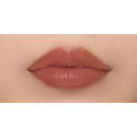 naturaglace（ナチュラグラッセ） タッチオンカラーズ02L ビターオレンジ