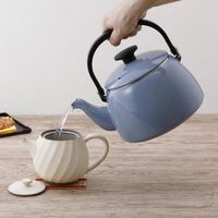 ケトル 2.5L やかん 琺瑯 IH・ガス火対応 アッシュブルー CTP-2.5K.AB 1個 富士ホーロー