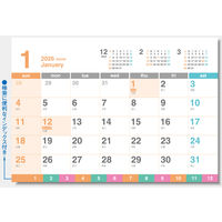 【アウトレット】【2026年度版カレンダー】杉本カレンダー クリアカラーカレンダー SGー9582 1部