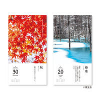 【2026年度版カレンダー】新日本カレンダー 朝の日めくり 8830 1冊