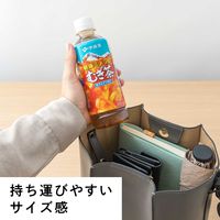 伊藤園 健康ミネラルむぎ茶 350ml ポケッティボトル 1箱（24本入）