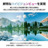 ロックブロス HDレンズサングラス 14110025012 防曇調光:ブラック M14110025012 1個（直送品）