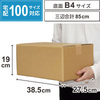 ノーブランド 底面B4 100サイズ ダンボール CB04-0010-AS 4573639424203 1セット(10枚入)（直送品）