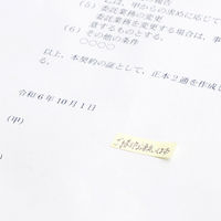 アスクル はたらく ふせん 付箋 極小ミニサイズ 25×7.5mm 1セット（1パック（25冊入）×2） オリジナル