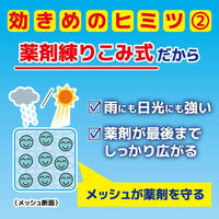 虫コナーズ 玄関用 吊るすタイプ 250日 屋外 窓 吊り下げ 虫よけ ネット 虫除け 防虫剤 1個 KINCHO キンチョー（わけあり品）