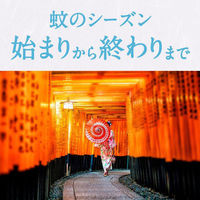 蚊 駆除 蚊取り器 アースノーマット 取替えボトル 30日用 無香料 液体蚊取り 詰め替え用 殺虫剤 室内 1箱（2本入） アース製薬（わけあり品）