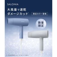 SALONIA（サロニア） スピーディーイオンドライヤー  サックスブルー  I-ne