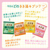 きき湯 炭酸入浴剤 バラエティパック 1セット（1パック（24包入）×2） アース製薬