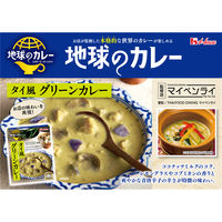 ハウス食品 地球のカレー タイ風グリーンカレー 中辛 180g 1セット（1個×2）レンジ対応 レトルト
