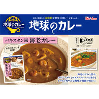 ハウス食品 地球のカレー パキスタン風海老カレー 中辛 150g 1セット（1個×2）レンジ対応 レトルト