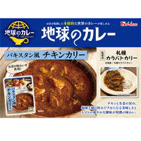 ハウス食品 地球のカレー パキスタン風チキンカリー 中辛 150g 1セット（1個×3）レンジ対応 レトルト