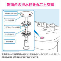 ガオナ 洗面用排水栓 洗面化粧台 直径36mm×全長101mm~114mm ポップアップ式 簡単交換 ヘアキャッチャー付き GA-MG066（直送品）