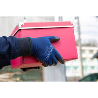 ハンボ ニトリルゴム10双組 L NE304-10P 1束（直送品）