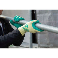 ハンボ プロスペックソフト L LN012-1P 1双（直送品）