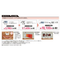 コロナ 遠赤外線 電気暖房機 コアヒート AH-1225R(SS) 1台