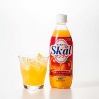 南日本酪農協同 スコールマンゴー 500ml 1セット（48本）