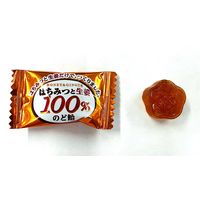 キャンディーのど飴 はちみつと生姜100％のど飴 50g 1セット（1個×10）