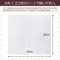 おそうじマルチクリーナー 1パック（30枚入） 伊藤忠リーテイルリンク