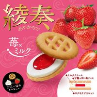 クッキー クリームサンド 個包装 お配り菓子 綾奏　苺×ミルク 1セット（1個×12）