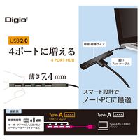 ナカバヤシ USB2.0 4ポートハブ 極薄極細 グレー UH-2554GY 1個