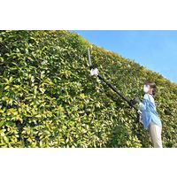 アイリスオーヤマ 充電式ポールヘッジトリマー 18V JPHT254 1台