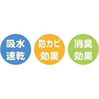 センコー スヌーピー ワイプドッグ 珪藻土マット 約40×55cm ホワイト SNB201011 1個 4973422463646