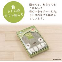 センコー となりのトトロ　はれやか　アクセントマット　約40×53cm　グリーン TOB190924 1個（直送品）