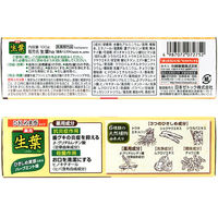 ひきしめ生葉（しょうよう） 歯槽膿漏を防ぐ 薬用ハミガキ ハーブミント味 100g 小林製薬 歯磨き粉