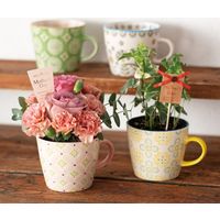 【アウトレット】ヘッズ ハンドメイドアートマグカップ-3 HNP-MUG3 1セット(4個:4個×1パッ