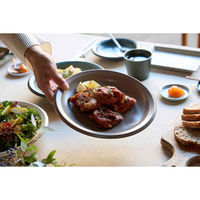 丸利玉樹利喜蔵商店 プレート 23cm L AirStack エアスタック 磁器 美濃焼 モカ 423217 1個（直送品）